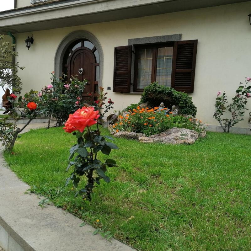B&B Il Belvedere Viterbo Exterior photo